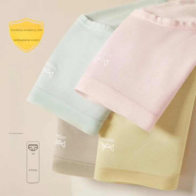 MIIOW Underpants Women's 4 Pack Mixed Color-4