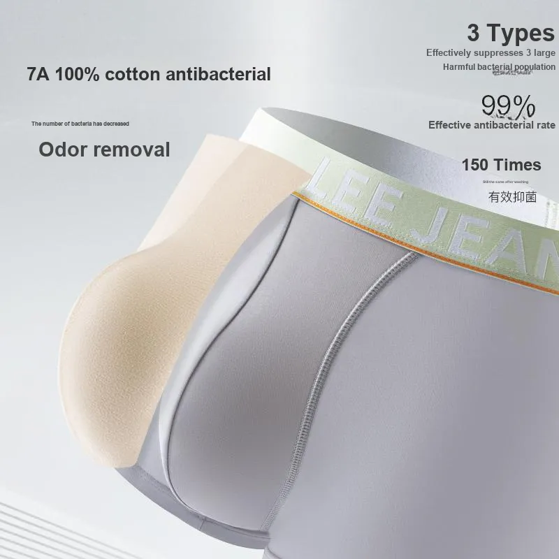 Lee 101 Years Commemoration Collection Underpants Men's Box 5 Pack-4