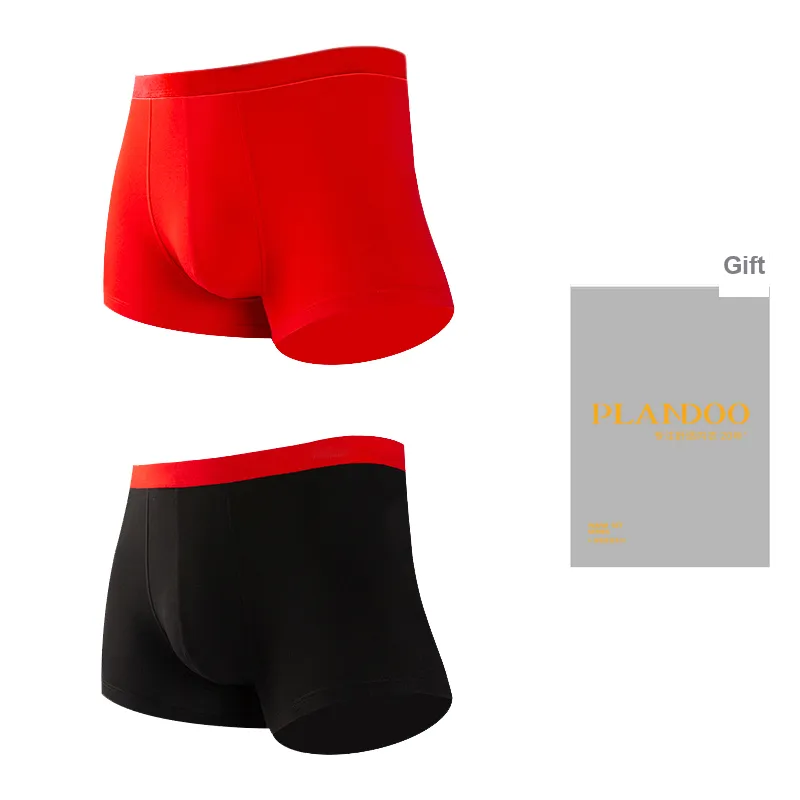 PLANDOO Underpants Men's Gift Box Of 2 Strips-1