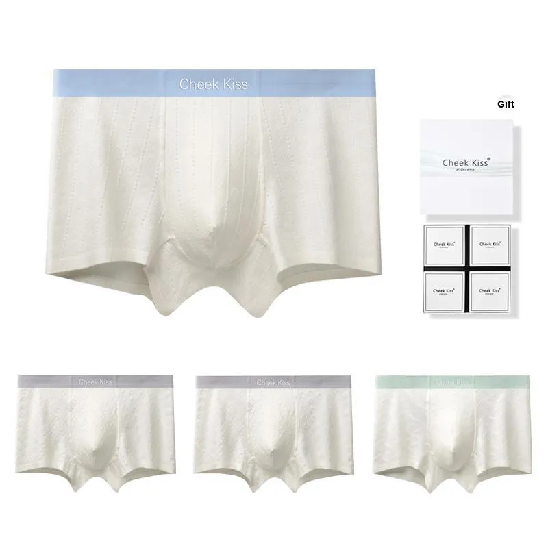 Cheekkiss Underpants Men's Box 3 Pack-23