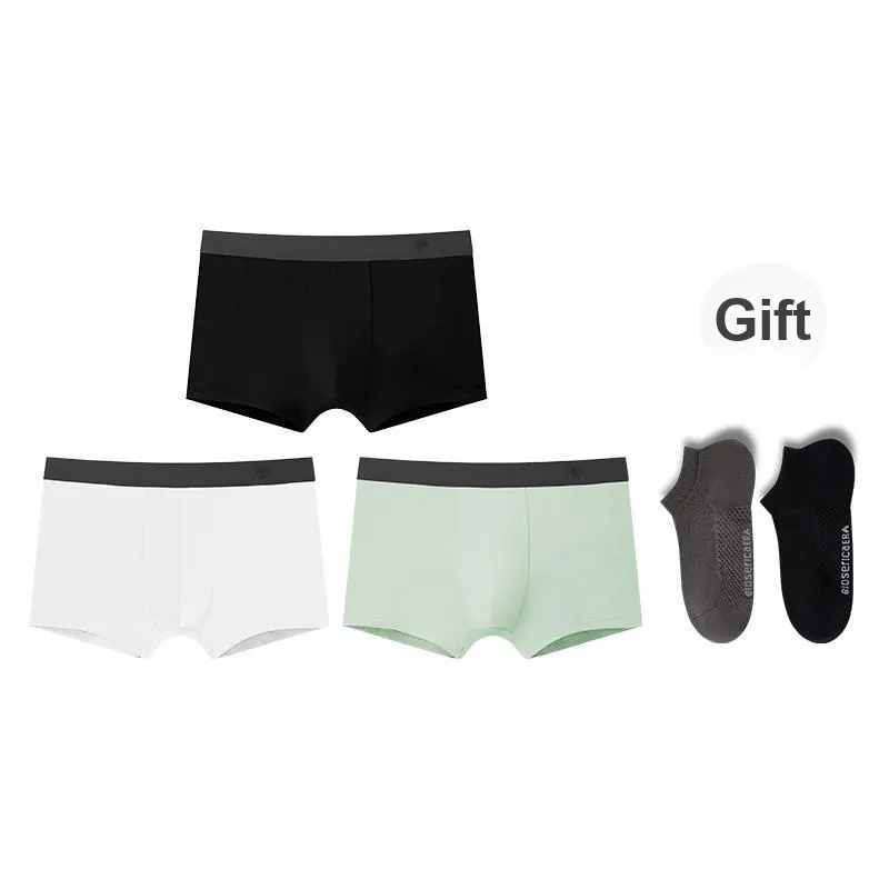 BIOSERICA ERA Cotton Underpants Men's 3 Pack-12