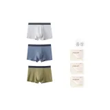그레이지+퍼플+그라스 그레이 그린