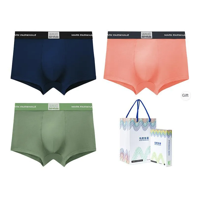 FAIRWHALE Underwear Gift Box Men's Shopping Bag 3 Pack-4