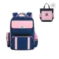 Royal Blue Pink (with Tutoring Bag)