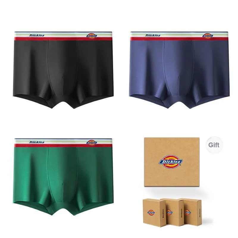 Dickies Underpants Men's Gift Box Combination-60