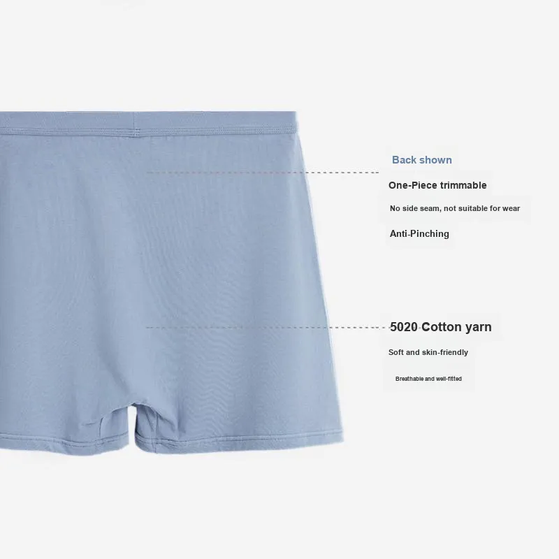 Lee Men Underpants-1