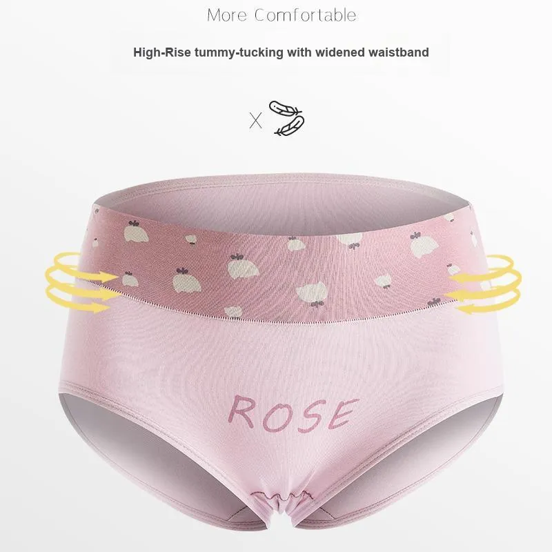 Lanza Underpants Women's 4 Pack-2