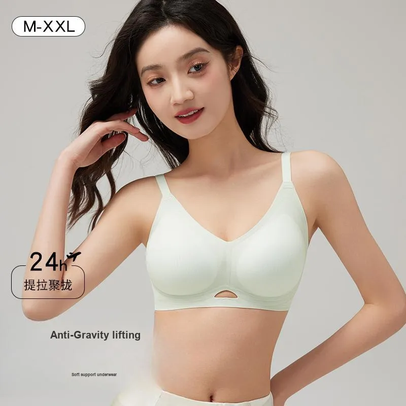 David Women's Bras-10