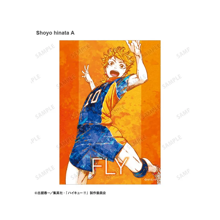 ARMA BIANCA Haikyuu!! Ani Art Second Edition Photo Cards-1