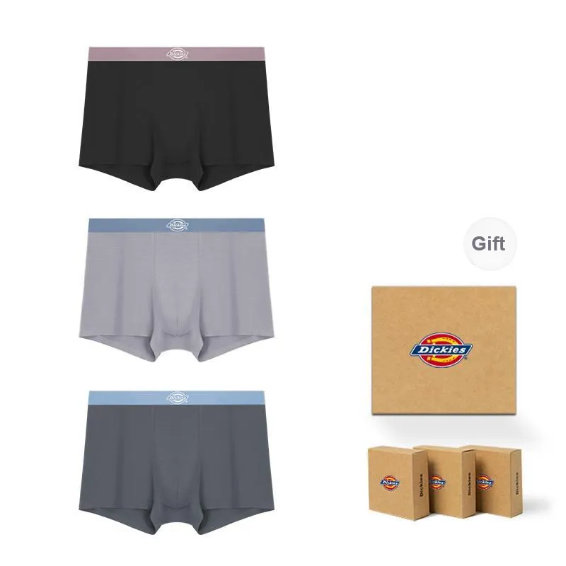 Dickies Underpants Men's Box 3 Pack-49