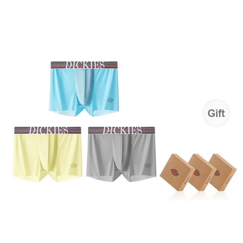 Dickies Underpants Men's Combination Gift Box Set-60