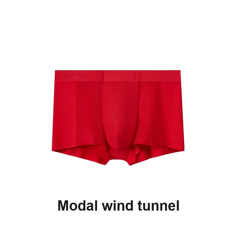 Icolor Men Underpants-5