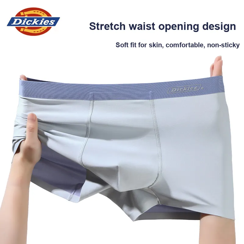 Dickies Underpants Men's Box 3 Pack-5