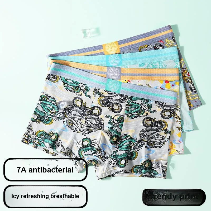 PLANDOO Underpants Men's 5 Pack-6