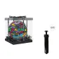 Gift Box Set+Pump