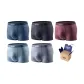 Red Coffee+Gray Blue+Dark Gray+Light Gray Blue+Eyeshadow Gray (Box of 5 Pcs)
