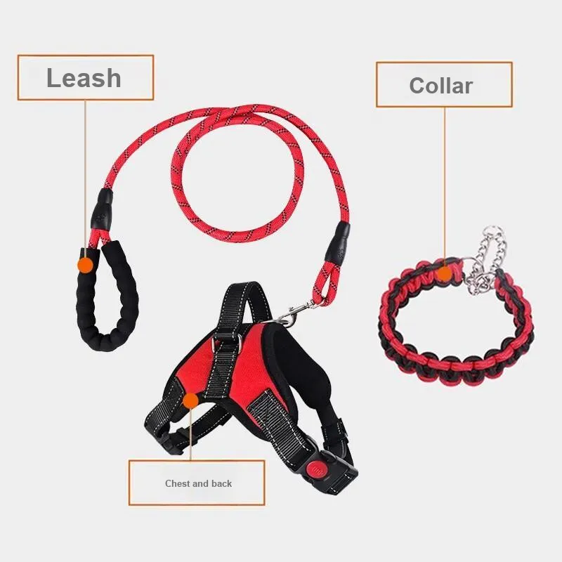 Pampering Leashes-5