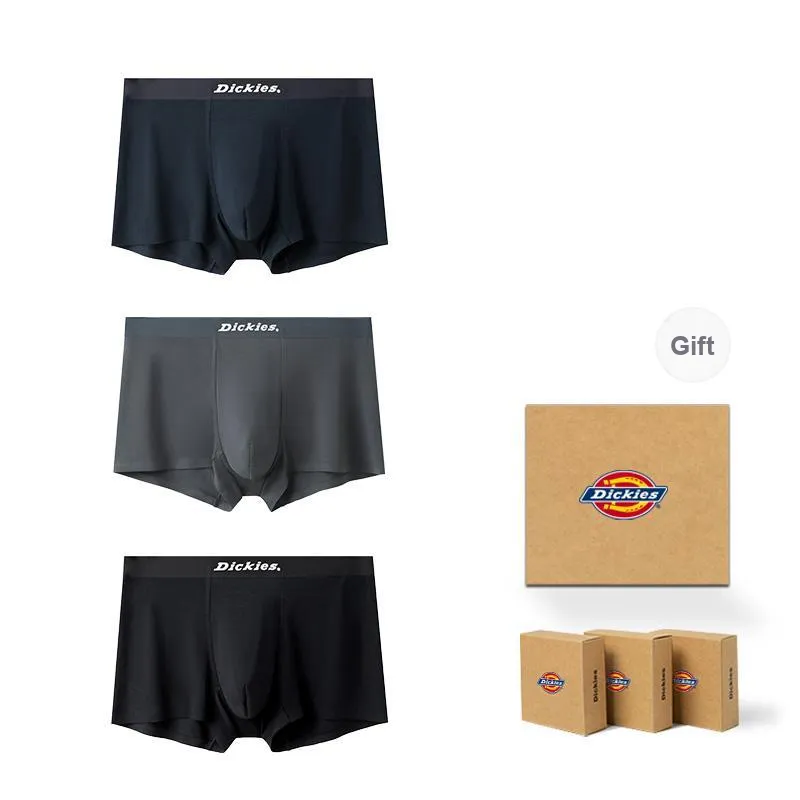 Dickies Underpants Men's Skin Friendly Seamless Breathable Boxer Box 3 Pack-5