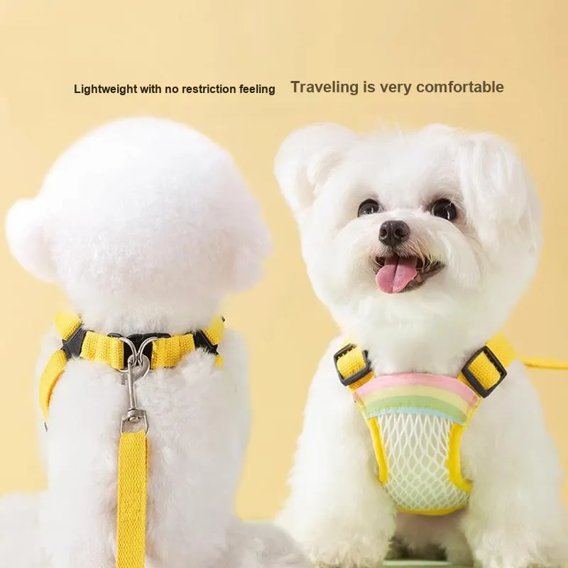 Hippie dogs Leashes-1