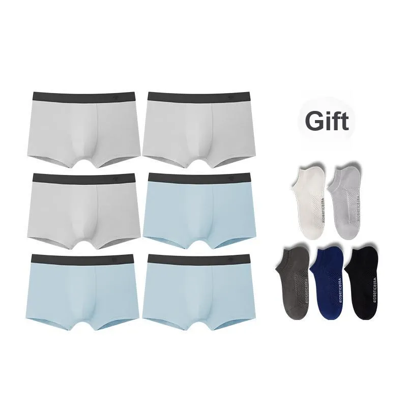 BIOSERICA ERA Cotton Underpants Men's 6 Pack-30