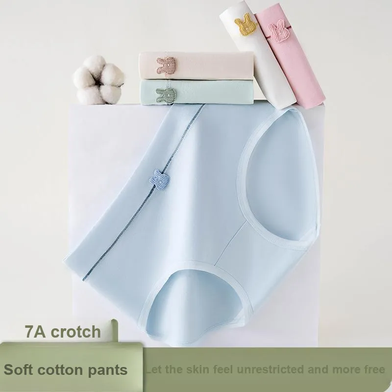 PLANDOO Underpants Women's 4 Pack-6