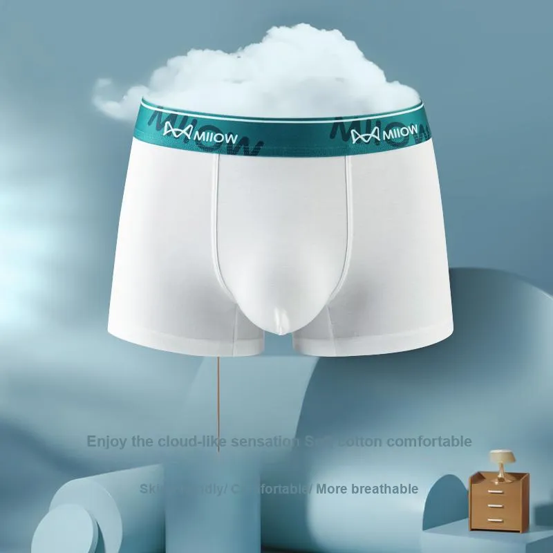 MIIOW Men Underpants-14