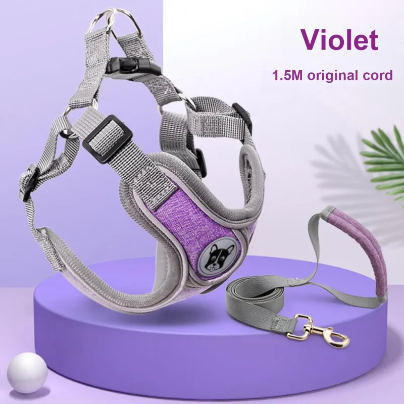 Kimpets Leashes-1