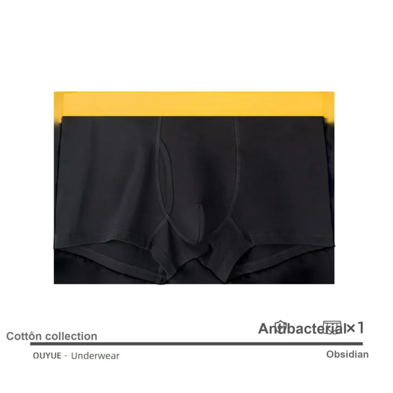 LUYOUYE Underpants Men's 1 Pack-8