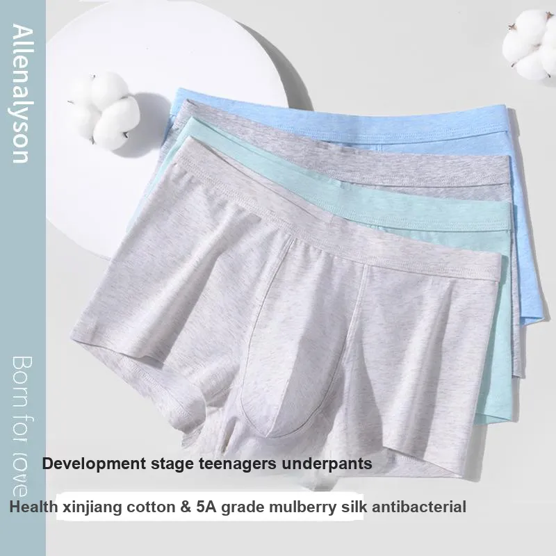 Allenalyson Underpants Men's 3 Pack-10