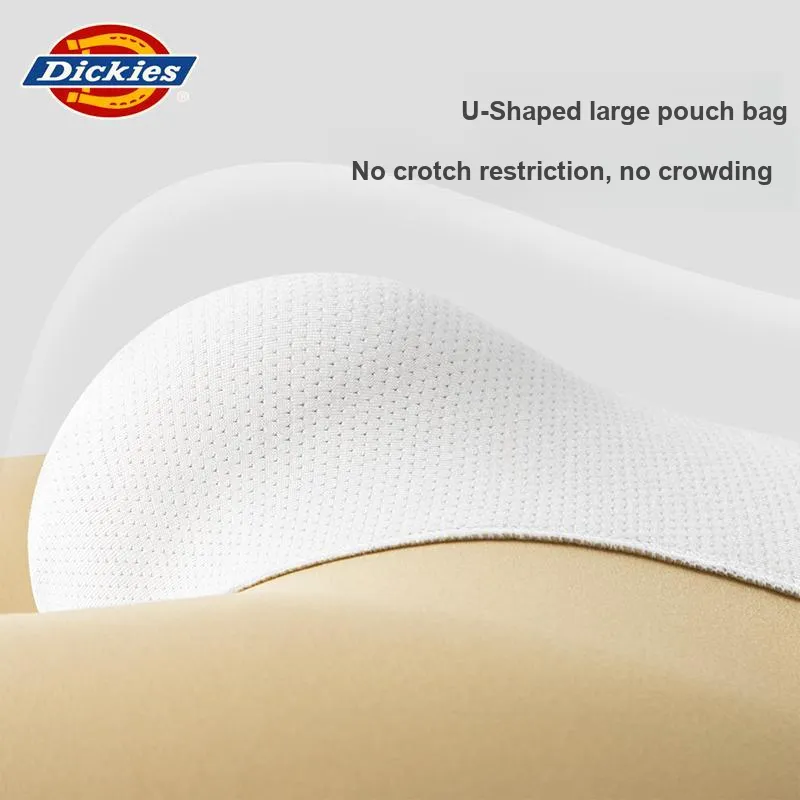 Dickies Underpants Men's Box 3 Pack-16