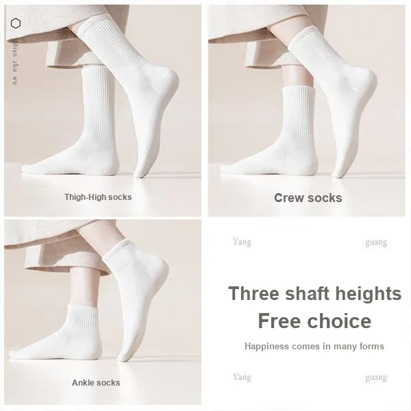B&C.Room Mid Calf Socks Women's 6 Pack-1