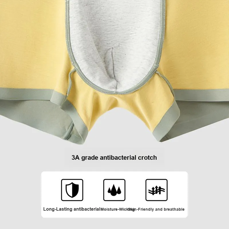Lee Men Underpants-16