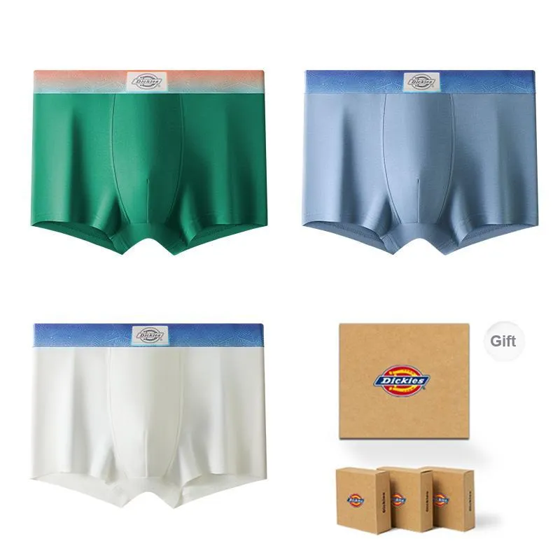 Dickies Underpants Men's Gift Box Combination-55