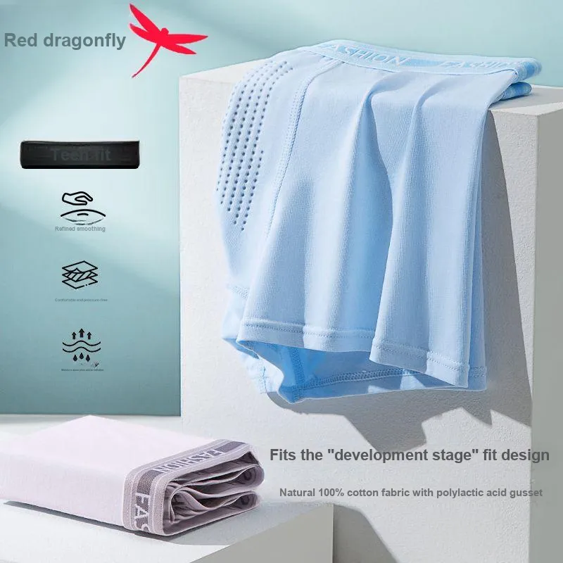 RED DRAGONFLY Cotton Panties Men's 4 Pack-3