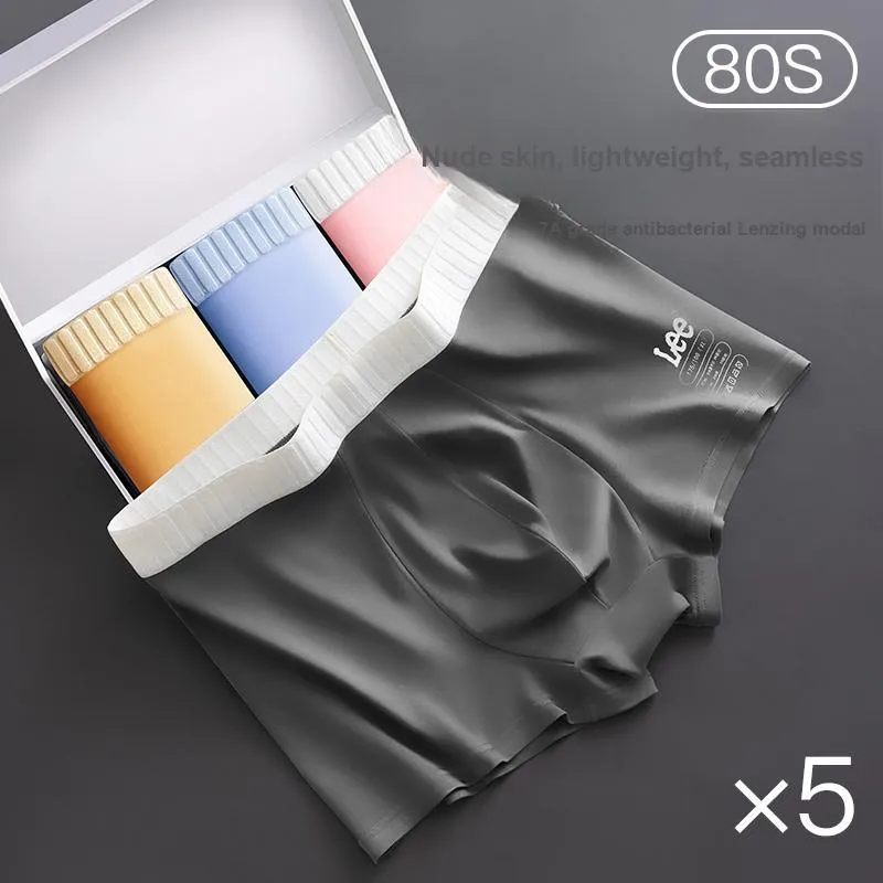 Lee Underpants Men's Box 5-Pack-1