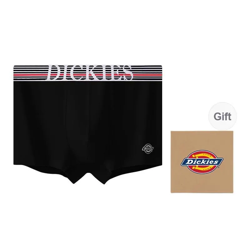 Dickies Underpants Men's Combo Set-30
