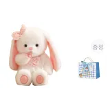 스위트 스타일 토끼 [고품격 쇼핑백 포함]