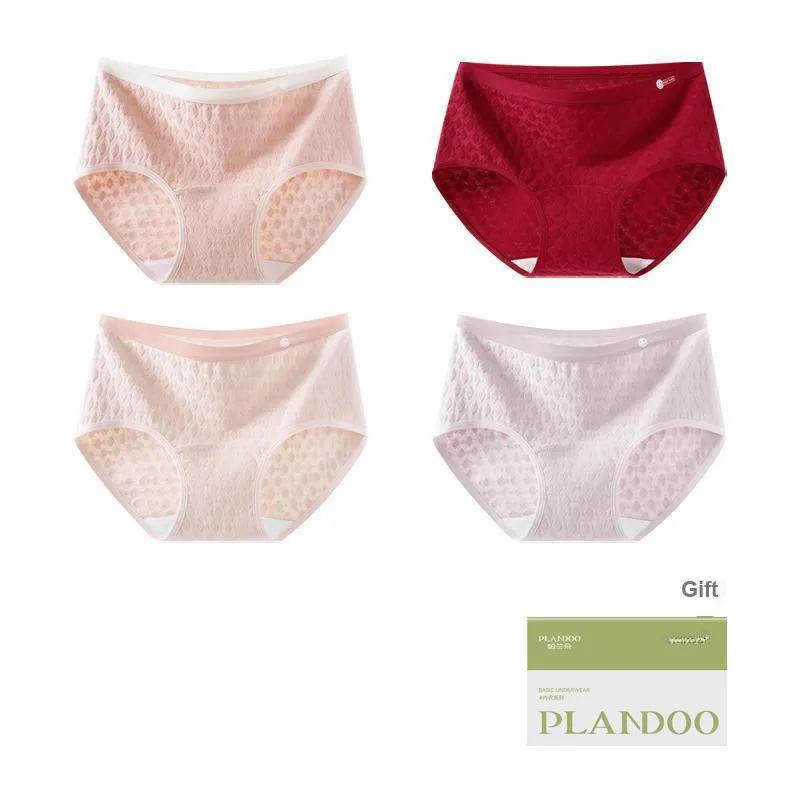 PLANDOO Underpants Women's Shopping Bag 4 Pack-10