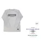 White Gray (Iron Gray Steady)