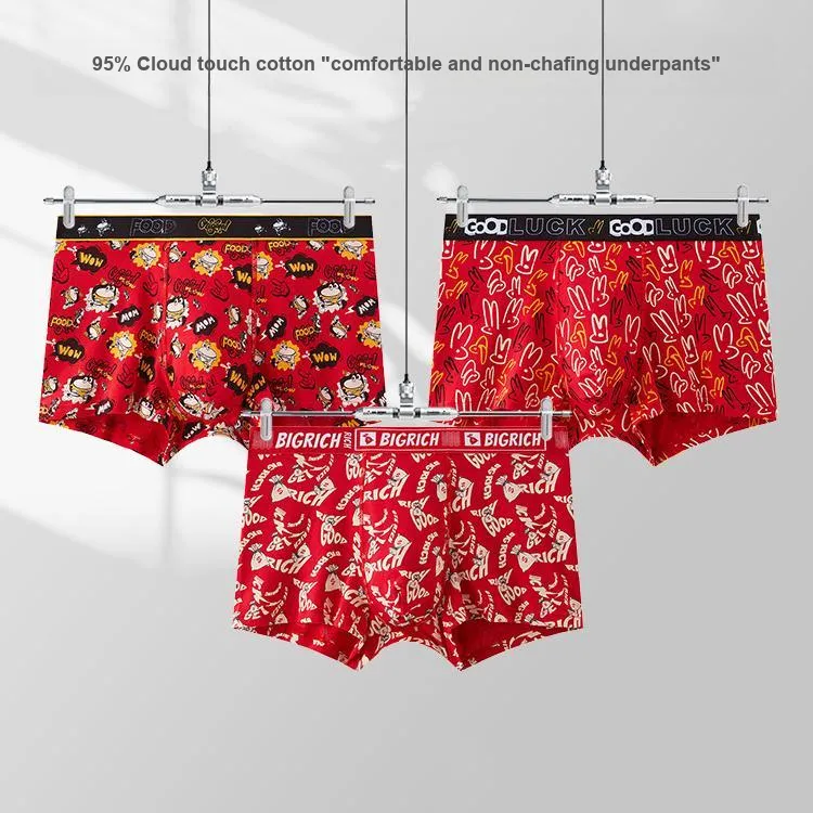 LUYOUYE Underpants Men's 2 Pack-13