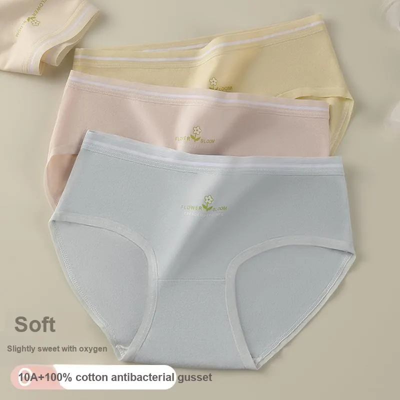 Lan Miao Underpants Women's Combo Set-7