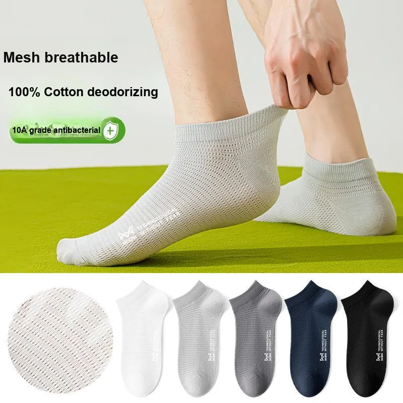 MIIOW Cool One Summer Series No Show Socks Men's 5 Pack-16