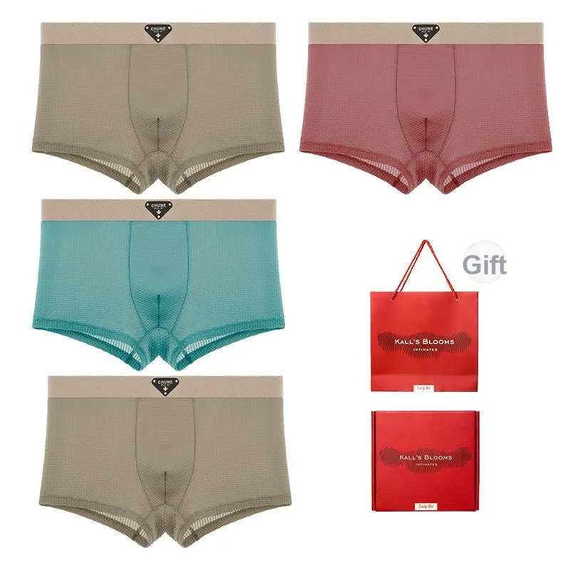 Maiden House Underwear Gift Box Men's 4 Pack-0