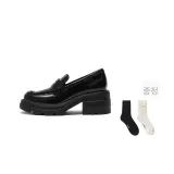 파인 우드 브라운 증정품 (참고: 세부 정보)