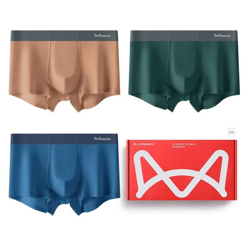 MIIOW Underpants Men's Box 3 Pack-10