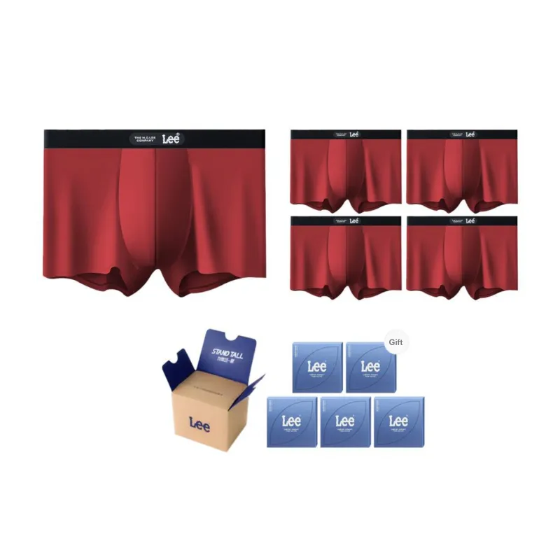 Lee Brilliant Underwear Gift Box Men's 5 Pack-10