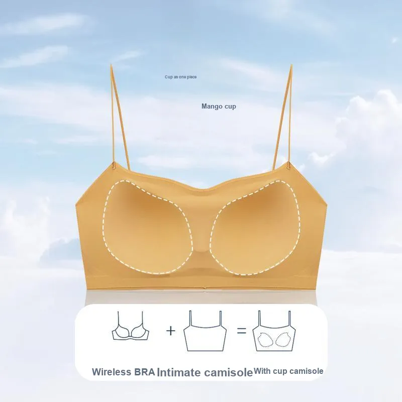 Herbal primer Women's Bras-3
