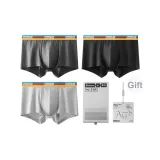 Rainbow Waist
