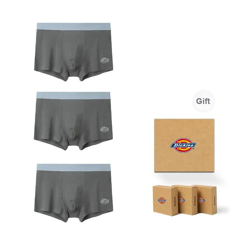 Dickies Underpants Men's Modal Cotton Premium Flat Box Combo Set-1