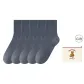 Navy Gray 5
